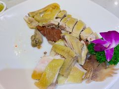 -顺丰轩园林酒家(天河店)