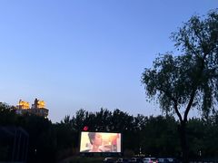 -枫花园汽车电影院(朝阳公园店)