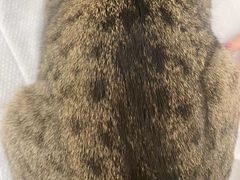 -comecome来吧宠物(奥克斯中心店)