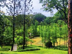-云溪植物园