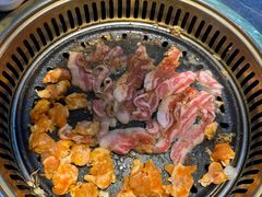 -杨记齐齐哈尔烤肉(五莲路店)