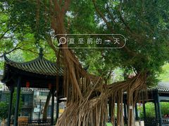 -荔湾湖公园