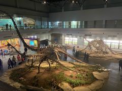 -自贡恐龙博物馆