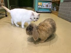 -雨林宠物医院 非犬猫异宠专科