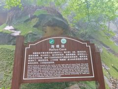 -缙云山景区
