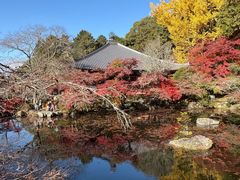 -醍醐寺