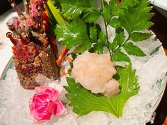 -Mr.Fish鱼鲜生海鲜放题(高德置地冬广场店)