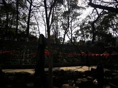 -兴福老面馆(寺路街店)