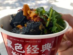 -黑色经典臭豆腐·湖南特产(太平街口店)
