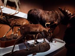 -陕西自然博物馆