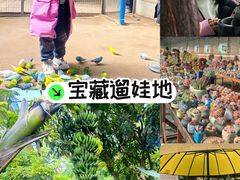 -呀路古热带植物园
