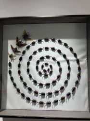 -酷嗒动物文化乐园(cutezoo西溪乐天城店)