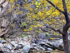 -黑龙潭风景区