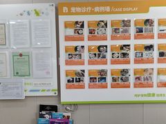 -瑞鹏宠物医院·骨外科·心肾科·肿瘤科(九亭店)
