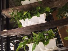 -七欣天(南京江宁店)