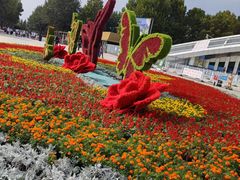 -石家庄市植物园