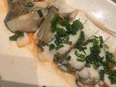 -船歌·鱼水饺青岛菜(金狮广场店)