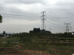 -紫颐香薰山谷景区
