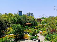 -上海吴淞炮台湾国家湿地公园