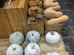 -石岐乳鸽村(桥观坊南四巷店)