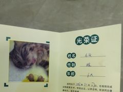 -睿金宠物医院·CT·肿瘤·骨外科
