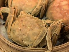 -马哥孛罗咖啡厅·Cafe Marco (厦门马哥孛罗东方大酒店)