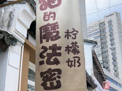 -猫的魔法密林(衣裳街店)