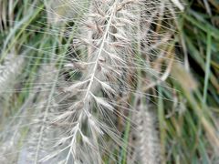 -韶山毛泽东同志故居