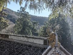 -潭柘寺景区