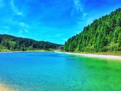 -武陵山森林公园