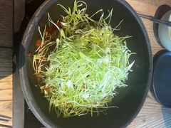 -毛辣果·酸