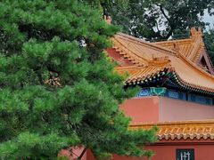 -戏马台景区