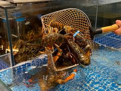 -半岛听涛蒸汽海鲜自助(K11店)