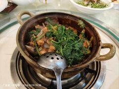 招牌家鸡煲-渝君重庆火锅(嘉宾路店)