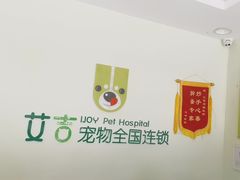 -艾吉宠物医院·疑难杂症转诊中心·猫友好(碧江路院)