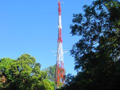 -武吉知马自然保护区