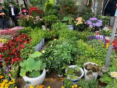 -金陵花卉交易市场