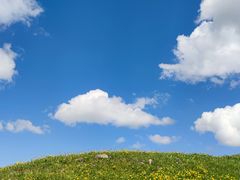 -新疆那拉提国家旅游度假区