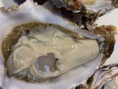 -千岛蚝高压锅生蚝·人参火锅(白云万达店)