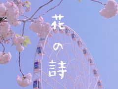 -顾村公园