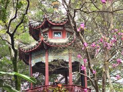 -乌山风景区