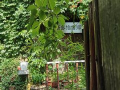 -斯多格书乡(北京大学畅春园店)