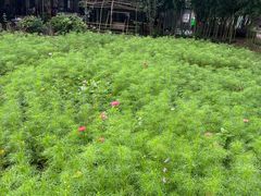 -苏州青少年科技馆