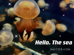 -重庆欢乐海底世界