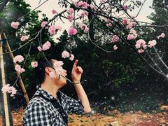 -天适樱花悠乐园