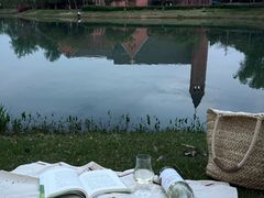 -贡湖湾湿地公园