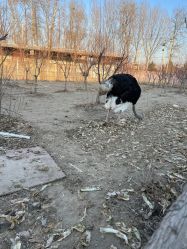 -优沃得自然教育农场·冰雪乐园·生日会·研学