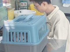 -瑞派天使宠物医院·神经外科·骨科·核磁CT(洛川中路店)