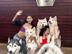 -TrueLove @ Neverland (Husky Cafe)
