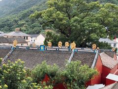 -茶人谷-东海大峡谷